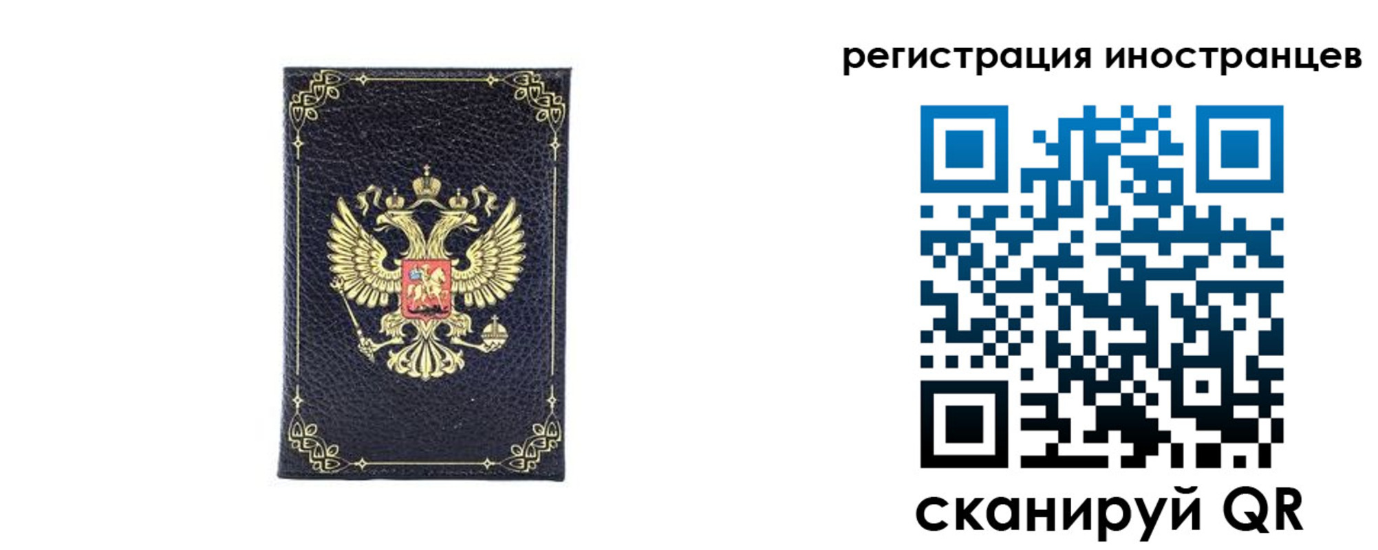 прописка для школы в Выборге